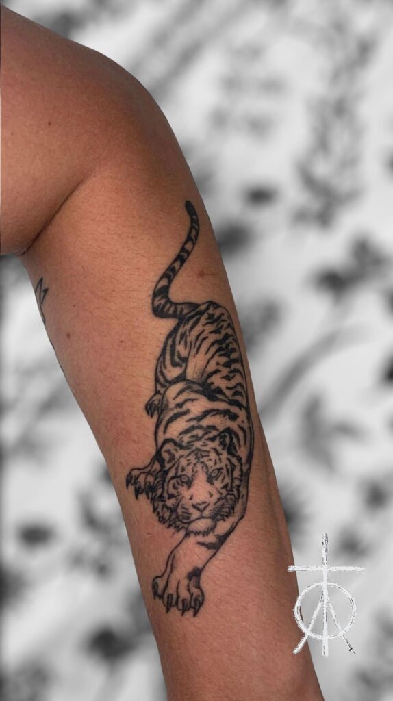 Tiger Tattoo, Small Tattoo
