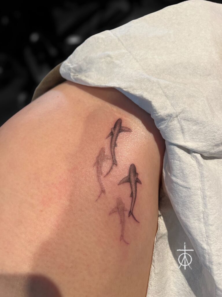 Micro Realism Tattoo, Sharks Tattoo, Fine Tattoo by Claudia Fedorovici