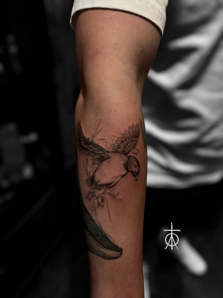 Puffin Tattoo, Realism Tattoo Sketch Tattoo by The Best Tattoo Artist Claudia Fedorovici