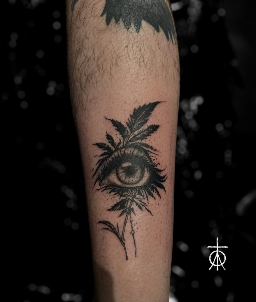 Blackwork Tattoo, Amsterdam Tattoo, Plants Tattoo by Claudia Fedorovici